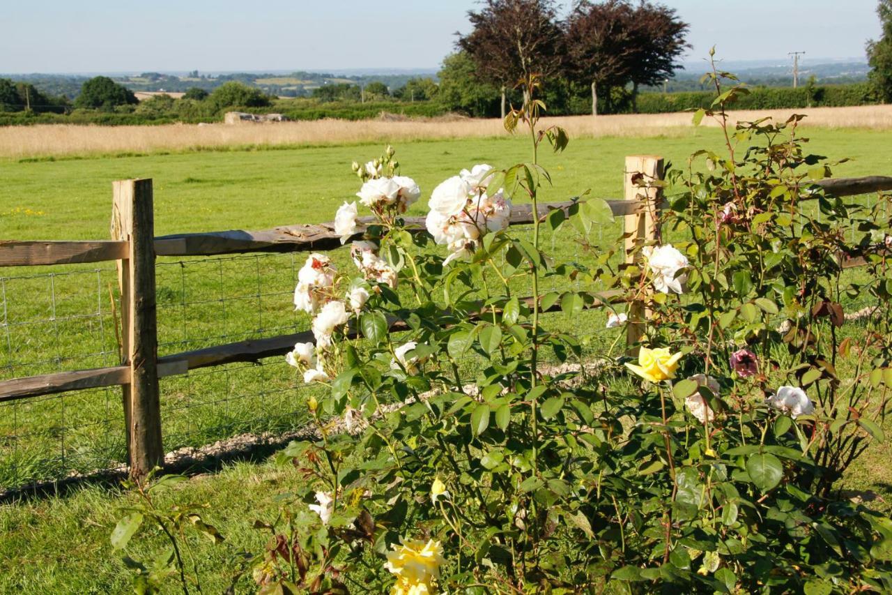 Bewl Rookery B&B Wadhurst Zewnętrze zdjęcie